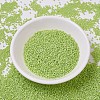 MIYUKI Delica Beads SEED-MY11-DB0876-2