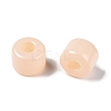 Opaque Baking Paint Glass Seed Beads X-SEED-T008-02C-4