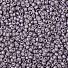 TOHO 8/0 Round Beads X-SEED-TR08-0554F-2