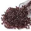 TOHO 8/0 Round Beads SEED-JPTR08-0746-1