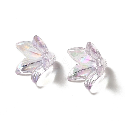 Transparent Acrylic Bead Caps OACR-H016-05B-1