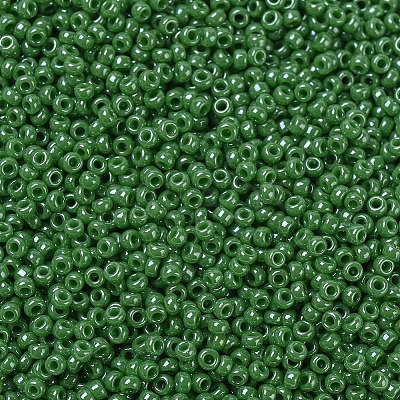 MIYUKI Round Rocailles Beads X-SEED-G007-RR0431-1