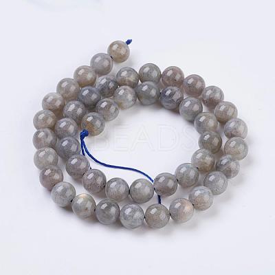 Natural Labradorite Beads Strands X-G-G212-8mm-23-1