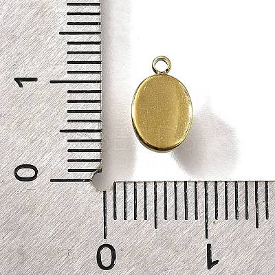 304 Stainless Steel Charms STAS-R153-02-1