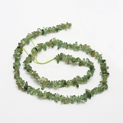 Chips Natural Green Apatite Beads Strands G-N0164-26-1