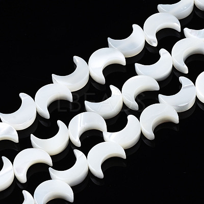 Natural Trochid Shell/Trochus Shell Beads Strands SSHEL-S266-025A-01-1