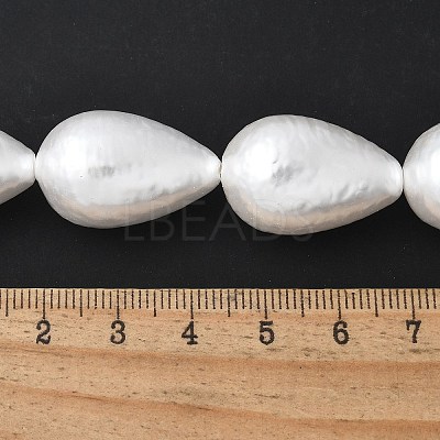 Electroplated Shell Pearl Beads Strands BSHE-F013-13-02-1