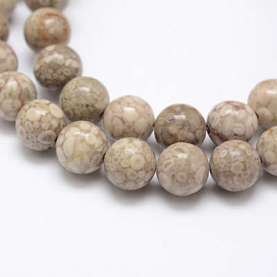Natural Fossil Coral Beads Strands G-G735-52-8mm-1