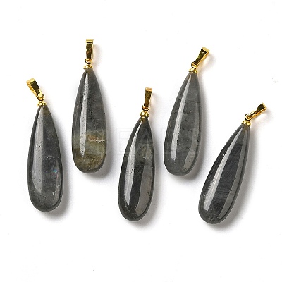 Natural Labradorite Pendants G-Q192-07G-06-1