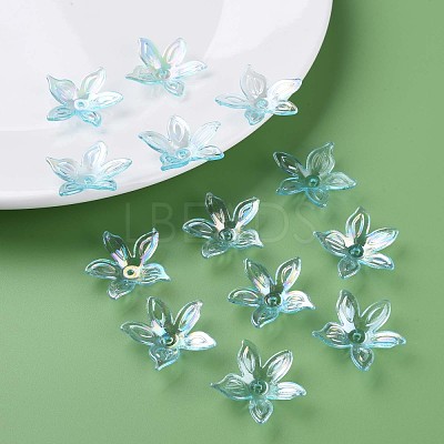 Transparent Acrylic Beads MACR-S373-102-C05-1