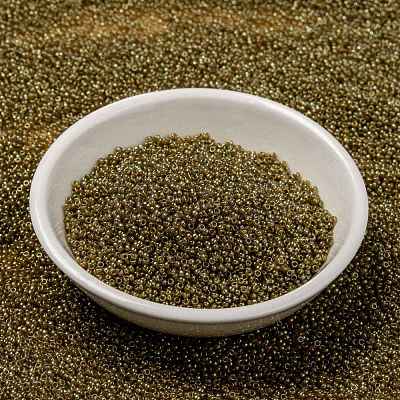 MIYUKI Round Rocailles Beads SEED-X0056-RR0311-1