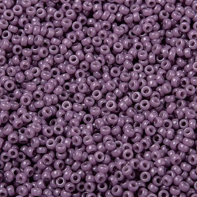MIYUKI Round Rocailles Beads X-SEED-G009-RR4489-1
