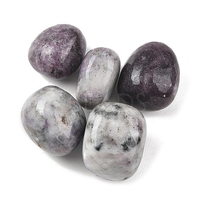 Natural Lepidolite Beads G-G348-01B-42-1
