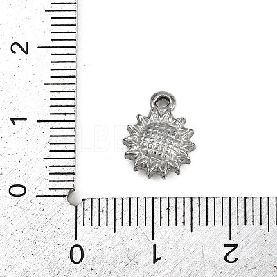 304 Stainless Steel Charms STAS-G363-12P-1