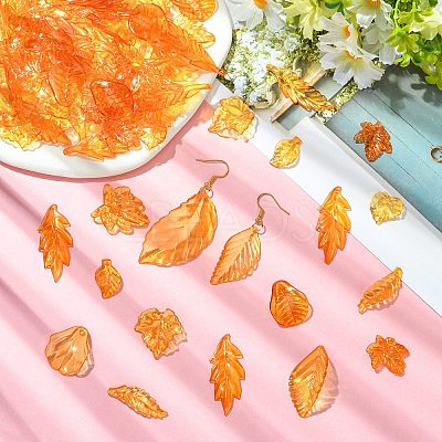 50G Transparent Acrylic Pendants TACR-CJC0005-05-1