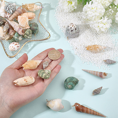 45Pcs Copper Wire Wrapped Natural Spiral Shell Pendants PALLOY-WR00033-1