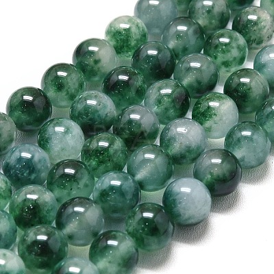 Natural Malaysia Jade Beads Strands G-L645-C01-10mm-03-1
