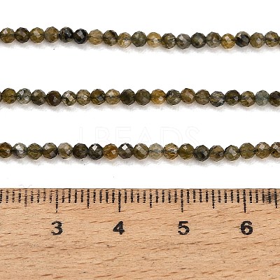 Natural Labradorite Beads Strands GG-CBA9722-A03-2mm-1