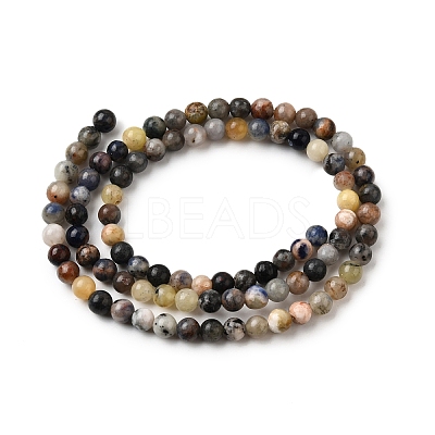 Natural Sodalite Beads Strands G-F591-13A-1