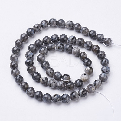 Natural Larvikite Beads Strands X-GSR6mmC128-1