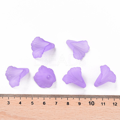 Transparent Acrylic Bead Caps PL551-C08-1