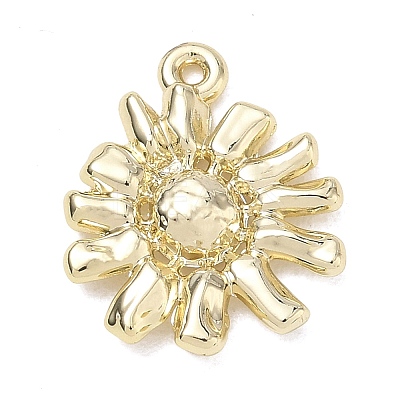 Alloy Pendants AL-CBA7C55-10A-G-1