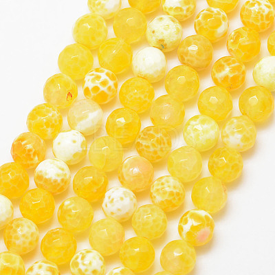 Natural Fire Crackle Agate Bead Strands G-K166-07F-8mm-07-1