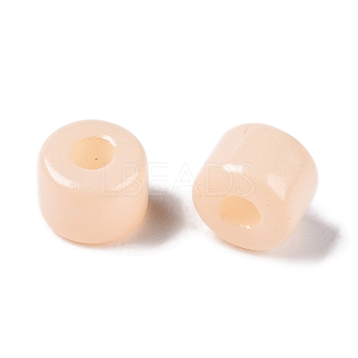Opaque Baking Paint Glass Seed Beads X-SEED-T008-02C-1