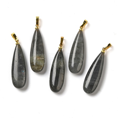 Natural Labradorite Pendants G-Q192-07G-06-1