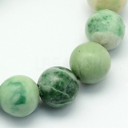 Natural Qinghai Jade Beads Strands X-G-S141-04-8mm-1