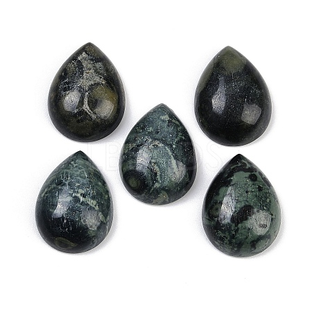 Natural Kambaba Jasper Cabochons G-H094-01A-29-1