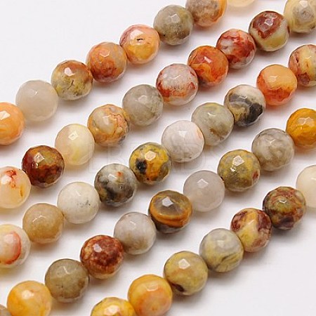 Natural Crazy Lace Agate Beads Strands G-G542-10mm-10-1