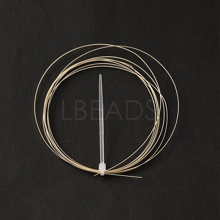 Sterling Silver Wire STER-WH0009-02A-1