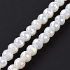 Electroplate Opaque Solid Color Glass Beads Strands GLAA-E036-10E-3