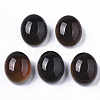 Translucent Glass Cabochons GLAA-T023-02C-2