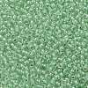 TOHO Round Seed Beads X-SEED-TR11-0354-2