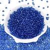 FGB Transparent Glass Seed Beads SEED-N013-01A-04-2