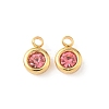 304 Stainless Steel Charms STAS-Z115-01G-07-1