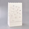 Hollow Candle Paper Bag CARB-WH0007-04-2