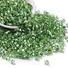 Glass Seed Beads SEED-M011-01A-20-1