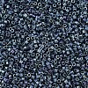 MIYUKI Delica Beads Small SEED-X0054-DBS0325-3