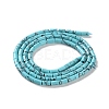 Dyed Synthetic Turquoise Beads Strands G-B124-A01-01-3