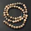 Natural Feldspar Beads Strands G-S259-26-6mm-4