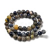 Natural Sodalite Beads Strands G-F591-13A-4