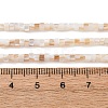 Natural Freshwater Shell Beads Strands SHEL-K006-72A-4