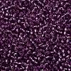 TOHO Round Seed Beads SEED-JPTR11-2219-2