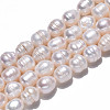 Natural Cultured Freshwater Pearl Beads Strands PEAR-N012-08B-4