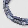 Natural Sodalite Beads Strands G-G968-D02-3