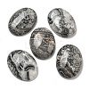 Natural Map Stone Cabochons G-C115-01B-48-1