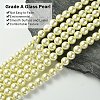 Grade A Glass Pearl Beads HY-J001-10mm-HX003-3